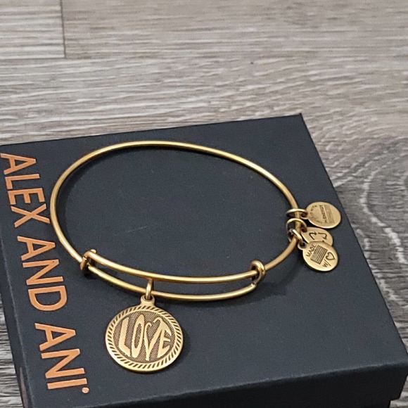 Alex and Ani Open Love Charm Bracelet - Picture 2 of 10